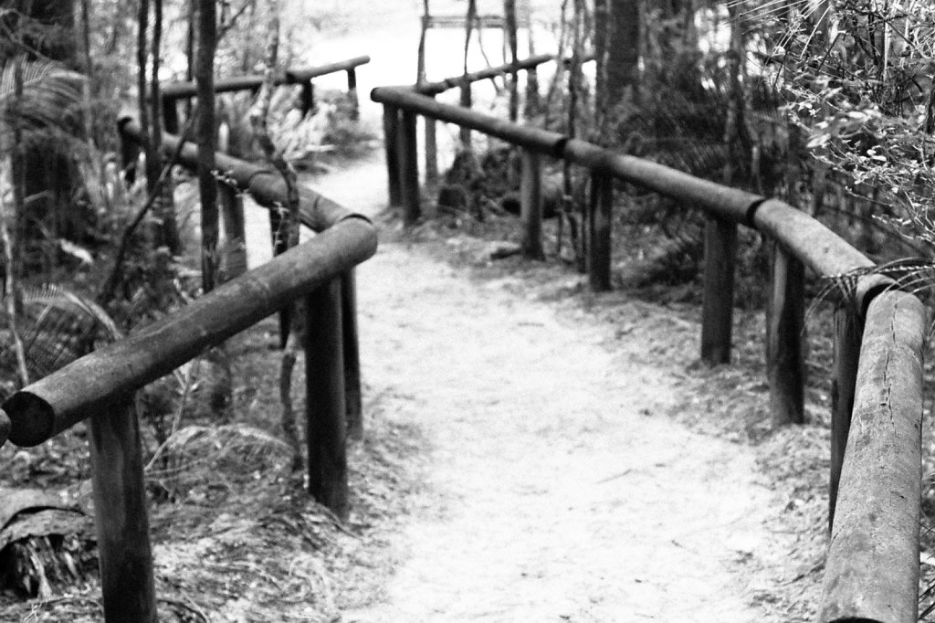 Trail @ Fraser Island