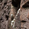 Grumpy Rock Formations @ Grampians National Park