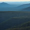 Dense Forest @ Grampians National Park