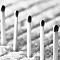 Matches