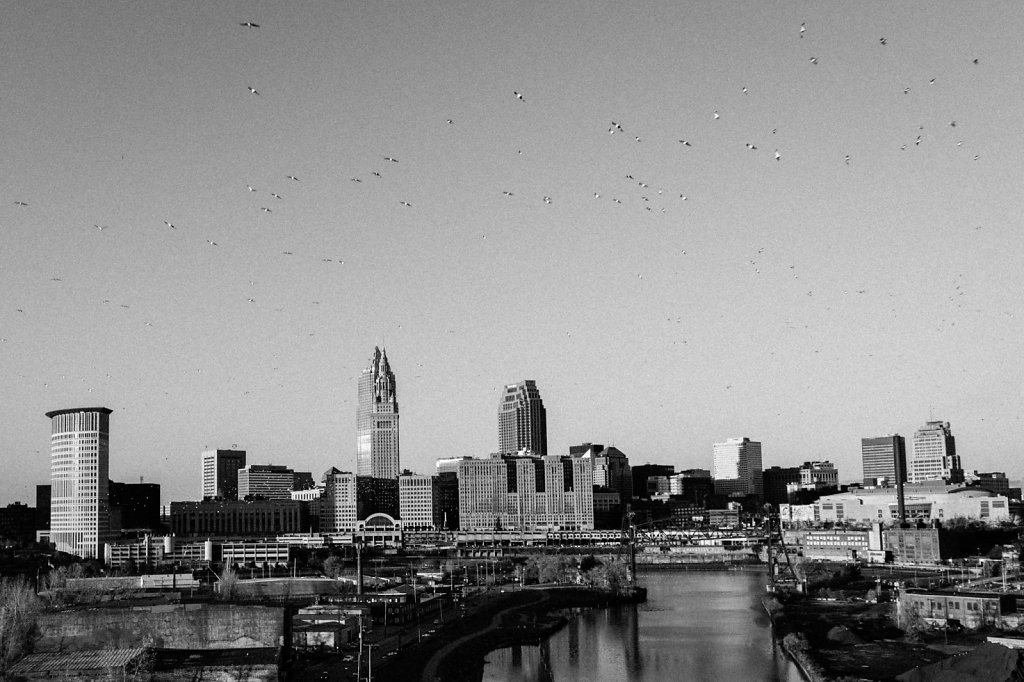 Lake Erie Birds over Cleveland Downtown